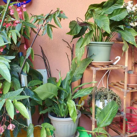 Relax Con Giardino A 8 Minuti A Piedi Dal Mare Apartment Loano